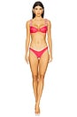 view 4 of 4 Lily Bikini Bottom in Pink