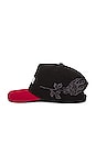 view 3 of 4 Bloom With Us Strapback Hat in Black & Maroon