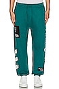 view 1 of 6 Regime Anarchy Cozy Jogger in Gotham Green