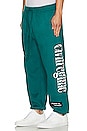view 2 of 6 Regime Anarchy Cozy Jogger in Gotham Green