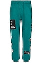 view 3 of 6 Regime Anarchy Cozy Jogger in Gotham Green