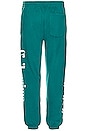 view 4 of 6 Regime Anarchy Cozy Jogger in Gotham Green