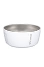 view 3 of 3 Dog Bowl 16oz in Gloss White