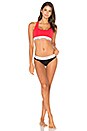 view 4 of 4 Modern Cotton Bralette in Evocative Red