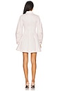 view 3 of 4 Indra Mini Dress in Blossom