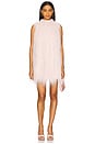 view 1 of 3 Mara Fringe Mini Dress in Blossom
