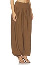 view 2 of 6 Heidi Trouser in Chestnut