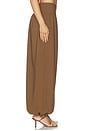 view 3 of 6 Heidi Trouser in Chestnut