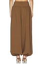 view 4 of 6 Heidi Trouser in Chestnut