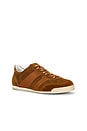 view 2 of 6 Pillar Pista in Brown & Brown