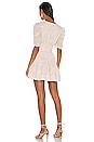 view 3 of 3 Sadie Mini Dress in Ditzy