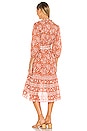 view 3 of 3 Sara Dress in Terracotta