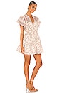 view 2 of 4 Briley Mini Dress in Border Flower