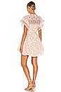 view 3 of 4 Briley Mini Dress in Border Flower