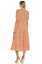 view 3 of 3 Peyton Ankle Dress in Tan