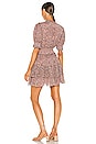 view 3 of 3 Madelyn Mini Dress in Meadows Block Print