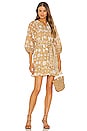 view 1 of 4 Magdalena Mini Dress in Honey Mix Print