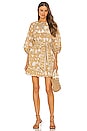 view 2 of 4 Magdalena Mini Dress in Honey Mix Print