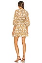 view 4 of 4 Magdalena Mini Dress in Honey Mix Print