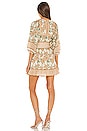 view 3 of 3 Magdalena Mini Dress in Tropical Block Print