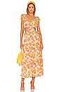 view 1 of 3 Clara Ankle Dress in Lucia Floral Print