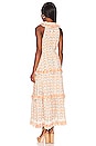 view 3 of 3 Kyra Ankle Dress in Carnation Print