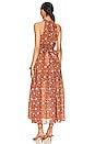 view 4 of 4 Wilder Ankle Dress in Terracotta Floral