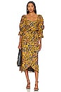 view 1 of 3 Solange Midi Dress in Matisse