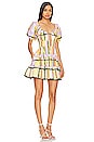 view 2 of 3 Iona Mini Dress in Saffron Hale Print