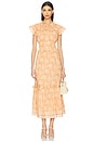 view 1 of 3 Indira Ankle Dress in Cecil Blush Print