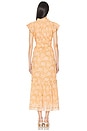 view 3 of 3 Indira Ankle Dress in Cecil Blush Print