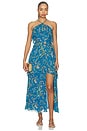 view 1 of 3 Aphrodite Ankle Dress in Blue Florabella Print