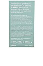view 2 of 5 Sea Siren Classic Almond Chill Tips Press-On Nails in Sea Siren