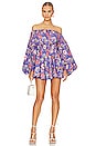 view 1 of 4 Charli Dress in Blue Enchanted Paisley