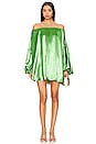 view 1 of 3 Andros Mini Dress in Peridot Green