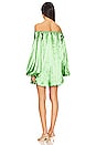 view 3 of 3 Andros Mini Dress in Peridot Green