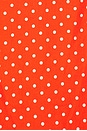 view 4 of 4 Lorena Mini Dress in Red & White