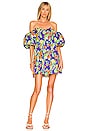 view 1 of 3 Palmer Mini Dress in Navy Summer Floral