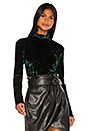 view 1 of 4 Delphine Velvet Turtleneck in Emerald