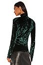 view 3 of 4 Delphine Velvet Turtleneck in Emerald