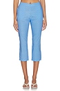 view 2 of 7 Andi Capri Pants in Periwinkle & White