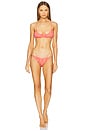 view 4 of 4 Stacia Ruched Bikini Bottom in Red & Ivory Gingham