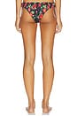 view 3 of 4 Dorit Ruched Bikini Bottom in Black & Red Multi