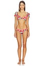 view 4 of 4 Dorit Ruched Bikini Bottom in White & Red Multi