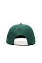 view 3 of 3 x REVOLVE Cap in Green