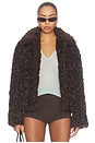 view 2 of 5 Faux Fur Jacket in Cinder Brown