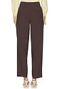 view 4 of 6 Mawson Pants in Mahogany Brown