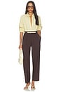 view 5 of 6 Mawson Pants in Mahogany Brown