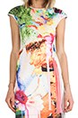 view 5 of 6 Griffith Park Neoprene Dress in Multi