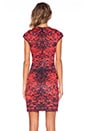 view 3 of 4 VESTIDO ROSE MATADOR in Multi